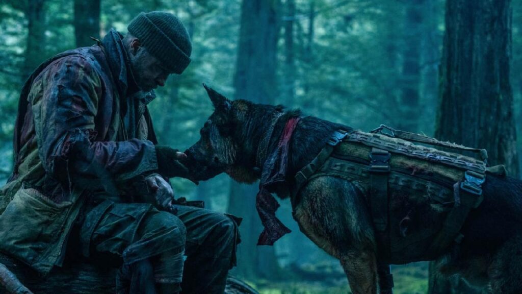 Ormanda kamuflajlı bir adam, donanımlı bir köpekle yan yana duruyor